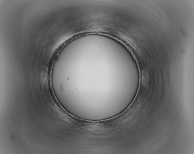 X0000113041452200909241424