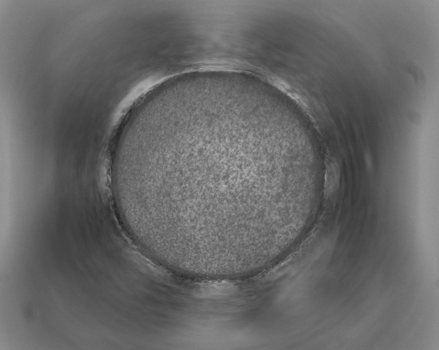 X0000113041454200909241424