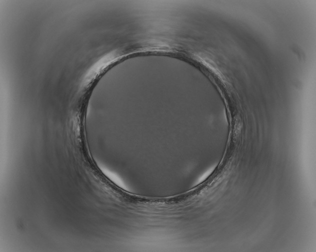 X0000113041455200909241424