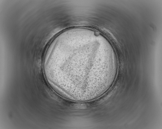 X0000113041457200909241424