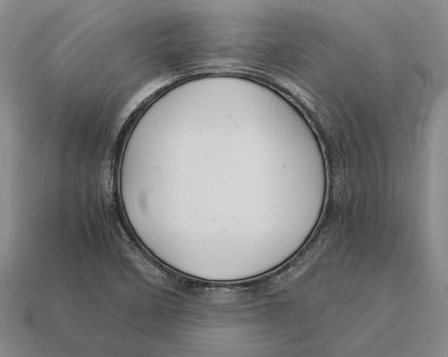 X0000113041458200909241424