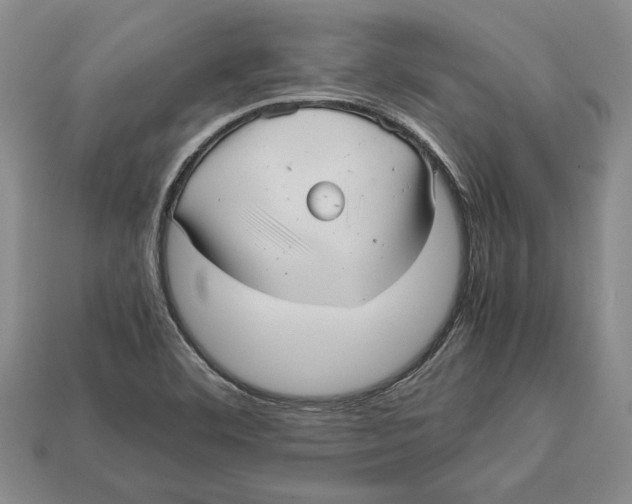 X0000113041460200909241424