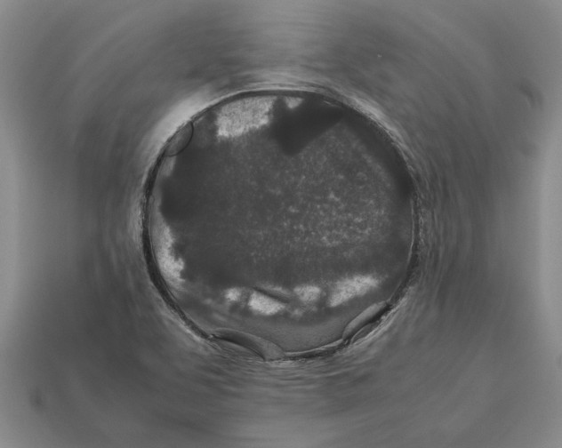 X0000113041463200909241424