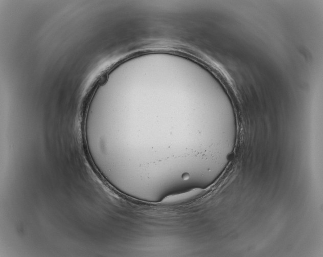 X0000113041464200909241424