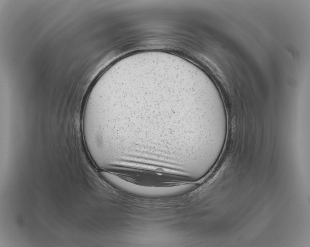 X0000113041465200909241424