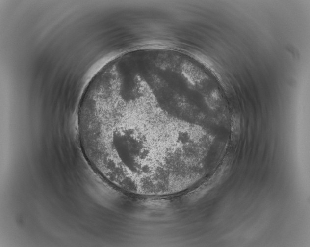 X0000113041466200909241424