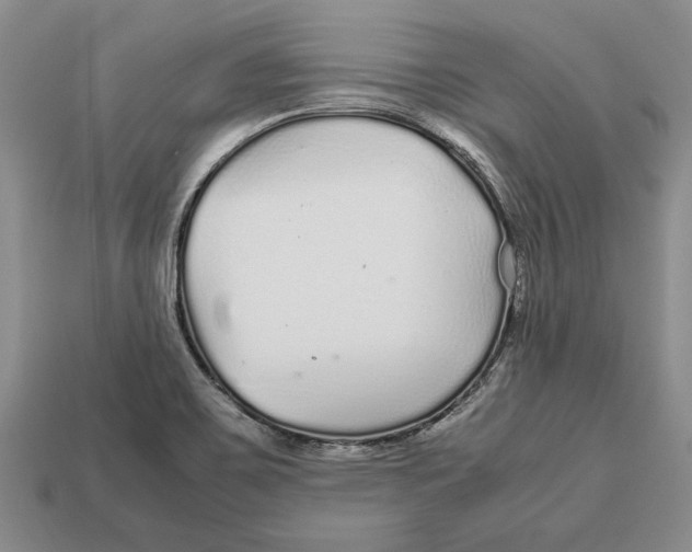 X0000113041467200909241424