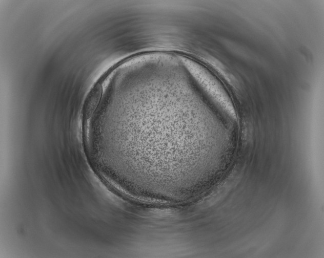X0000113041468200909241424