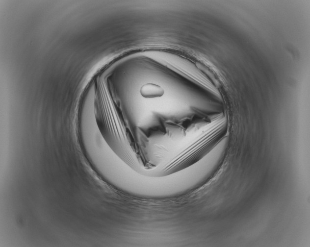 X0000113041469200909241424