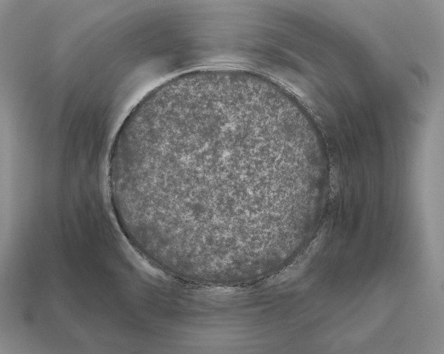 X0000113041470200909241424
