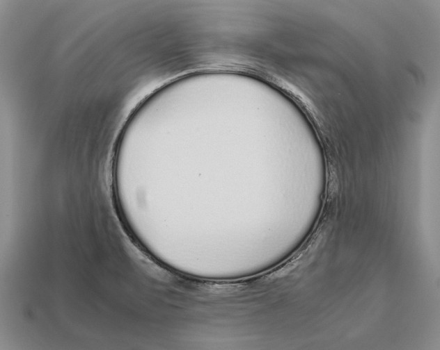 X0000113041471200909241424