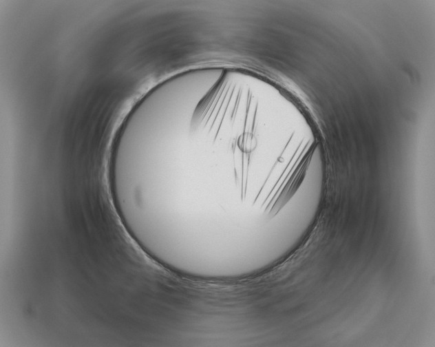 X0000113041472200909241424