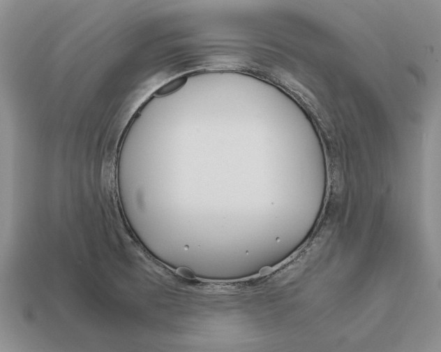 X0000113041473200909241424