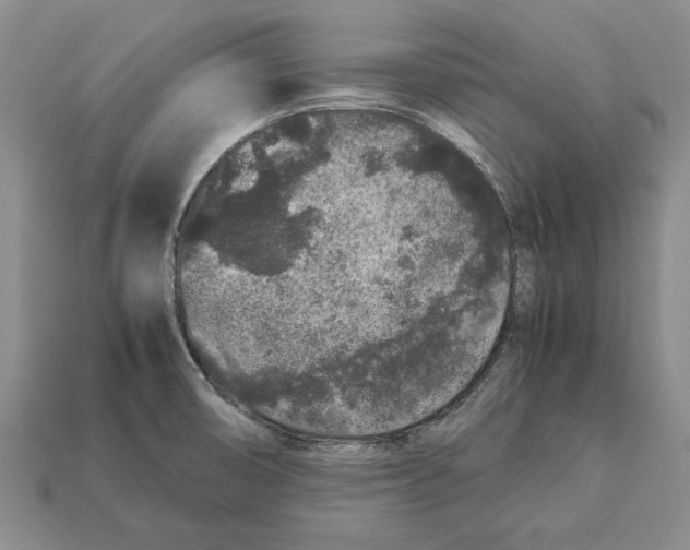 X0000113041474200909241424
