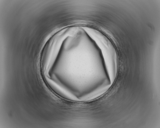 X0000113041475200909241424
