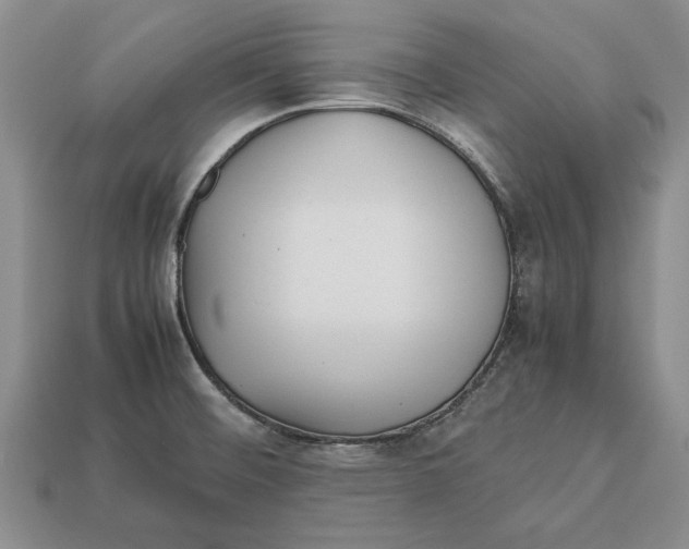 X0000113041476200909241424