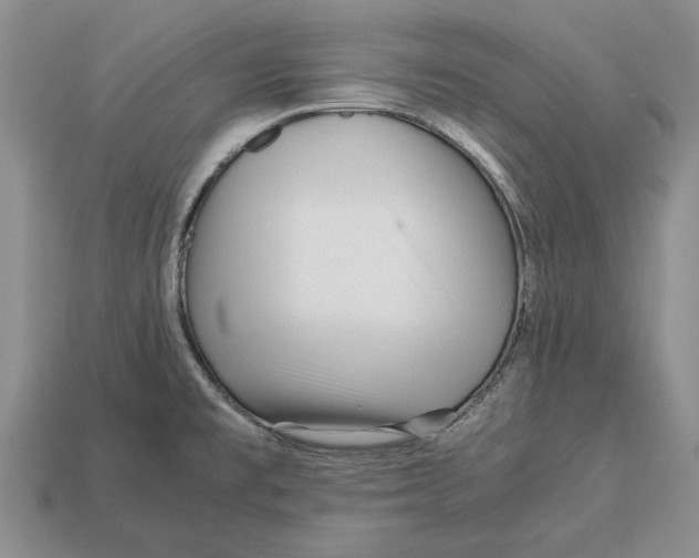 X0000113041477200909241424