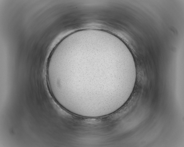 X0000113041478200909241424