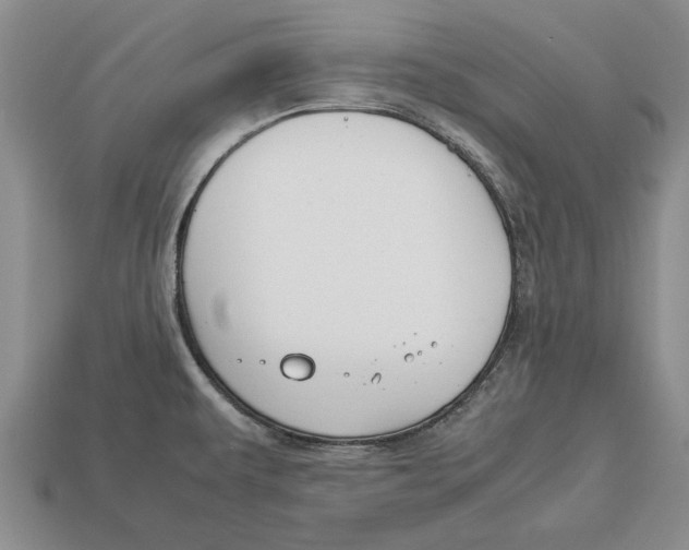 X0000113041479200909241424