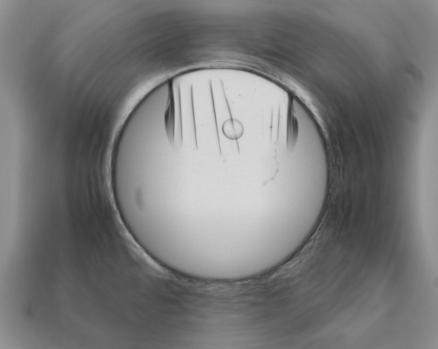 X0000113041480200909241424