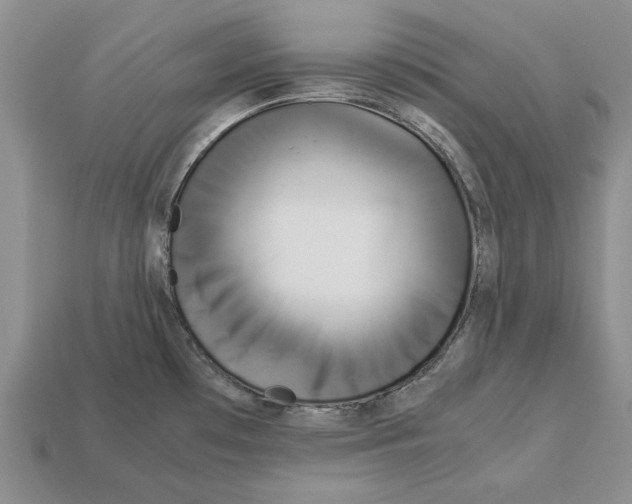 X0000113041481200909241424