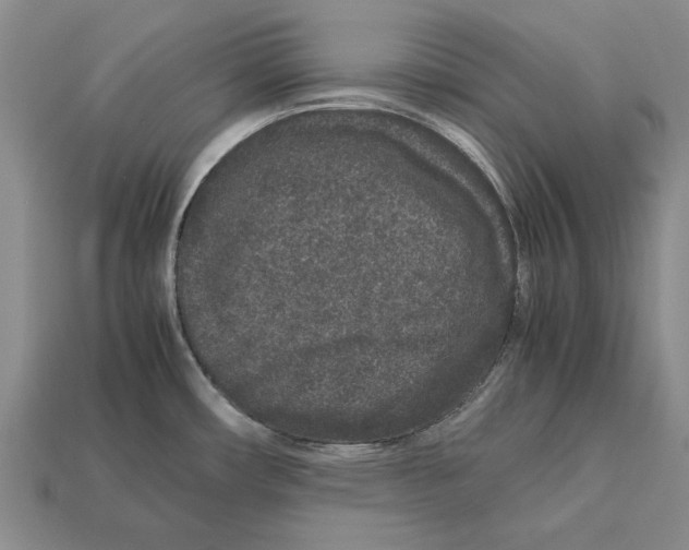 X0000113041482200909241424