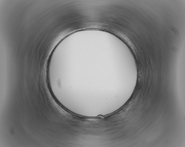 X0000113041483200909241424