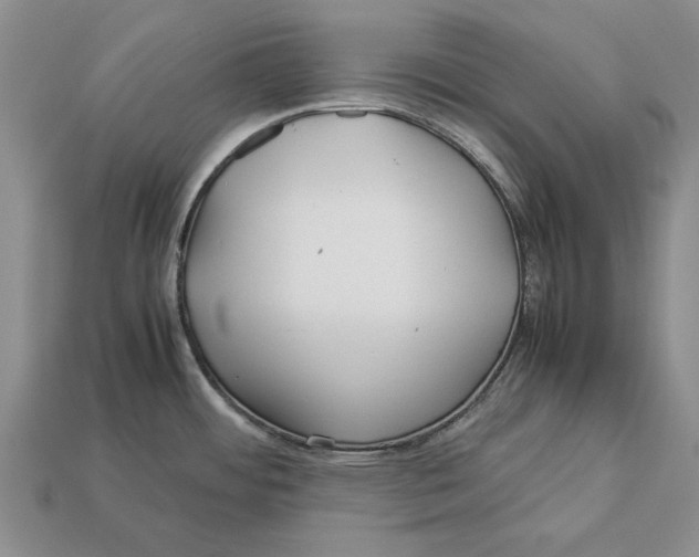 X0000113041484200909241424