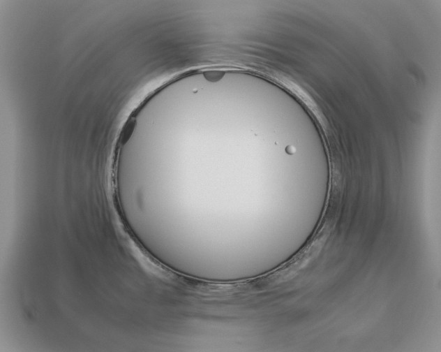 X0000113041485200909241424