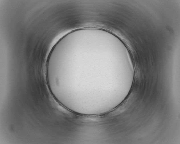 X0000113041486200909241424