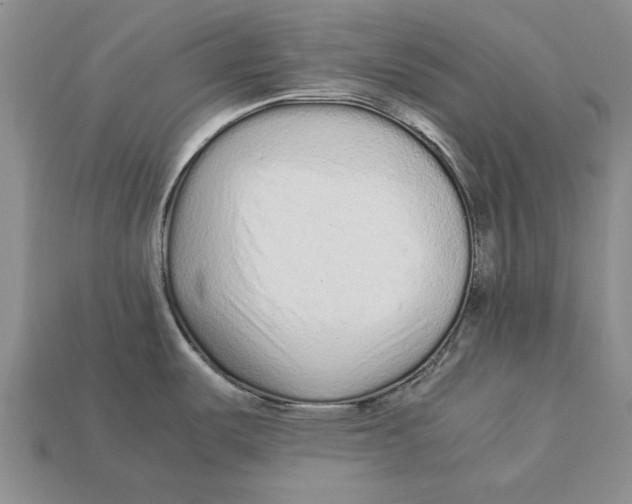 X0000113041487200909241424