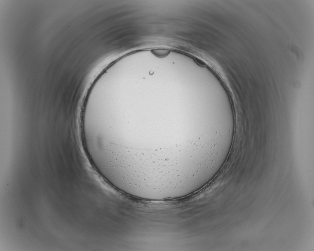 X0000113041488200909241424