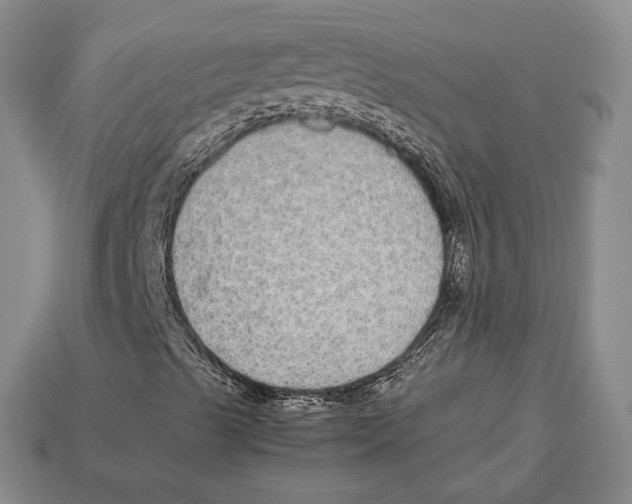 X0000113041489200909241423