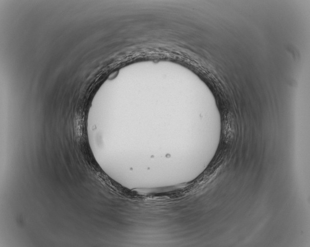 X0000113041490200909241423