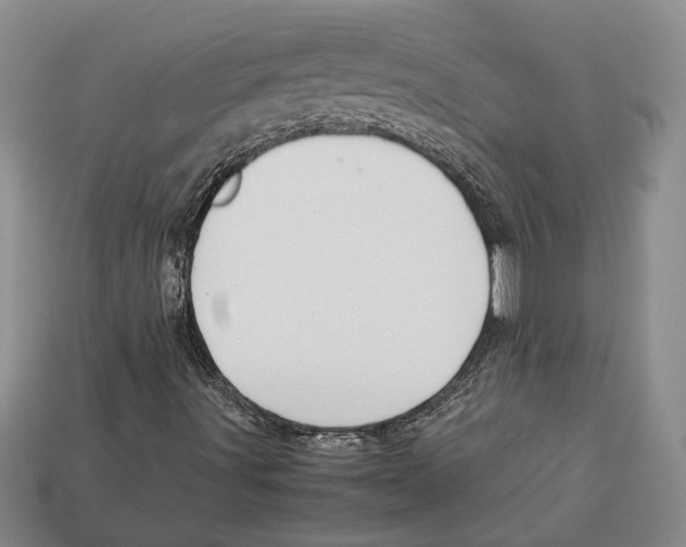 X0000113041491200909241423