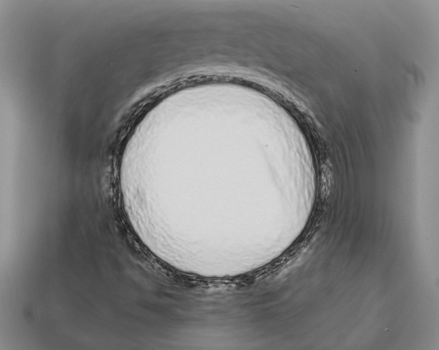 X0000113041494200909241423