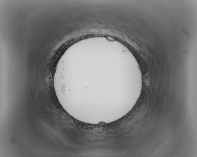 X0000113041495200909241423