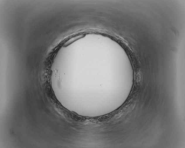 X0000113041496200909241423