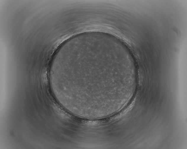 X0000113041497200909241423