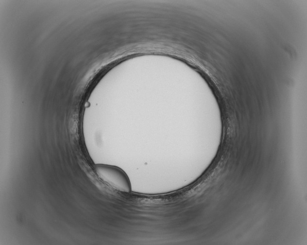 X0000113041499200909241424