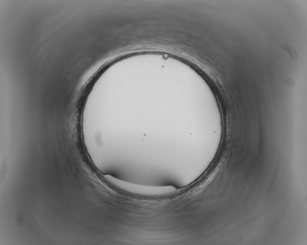 X0000113041502200909241424