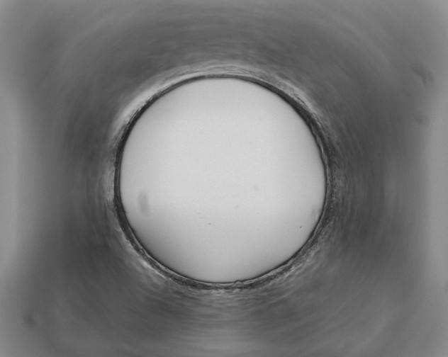 X0000113041504200909241424