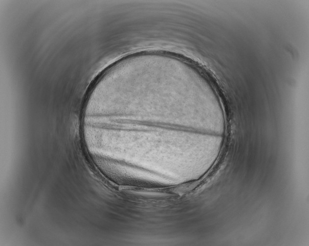 X0000113041505200909241424