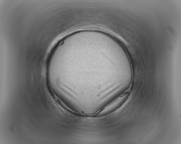 X0000113041506200909241424