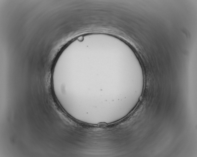 X0000113041507200909241424