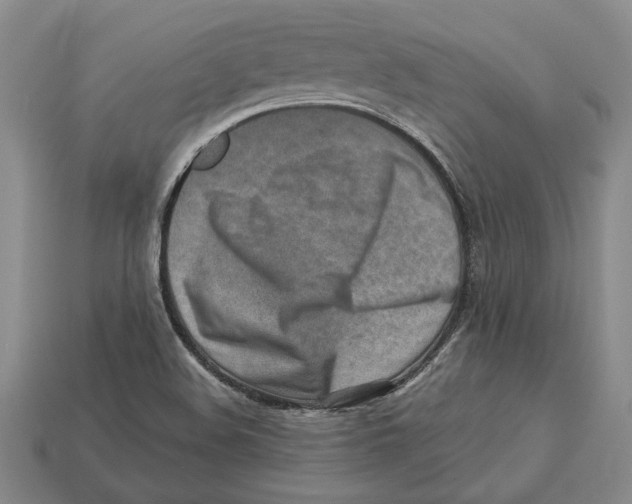 X0000113041508200909241424