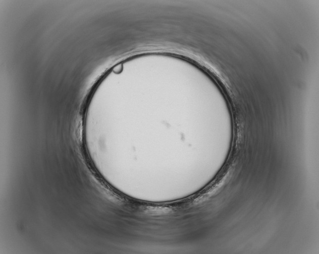 X0000113041509200909241424