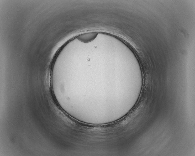 X0000113041510200909241424