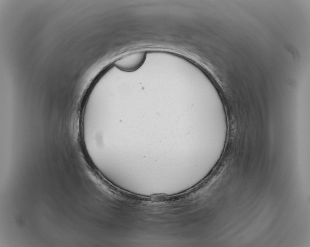 X0000113041511200909241424
