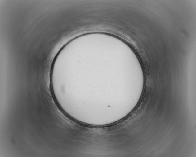 X0000113041512200909241424
